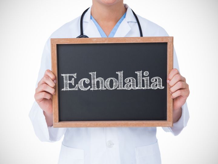 Unraveling the Mysteries of Echolalia and Scripting: Understanding ...