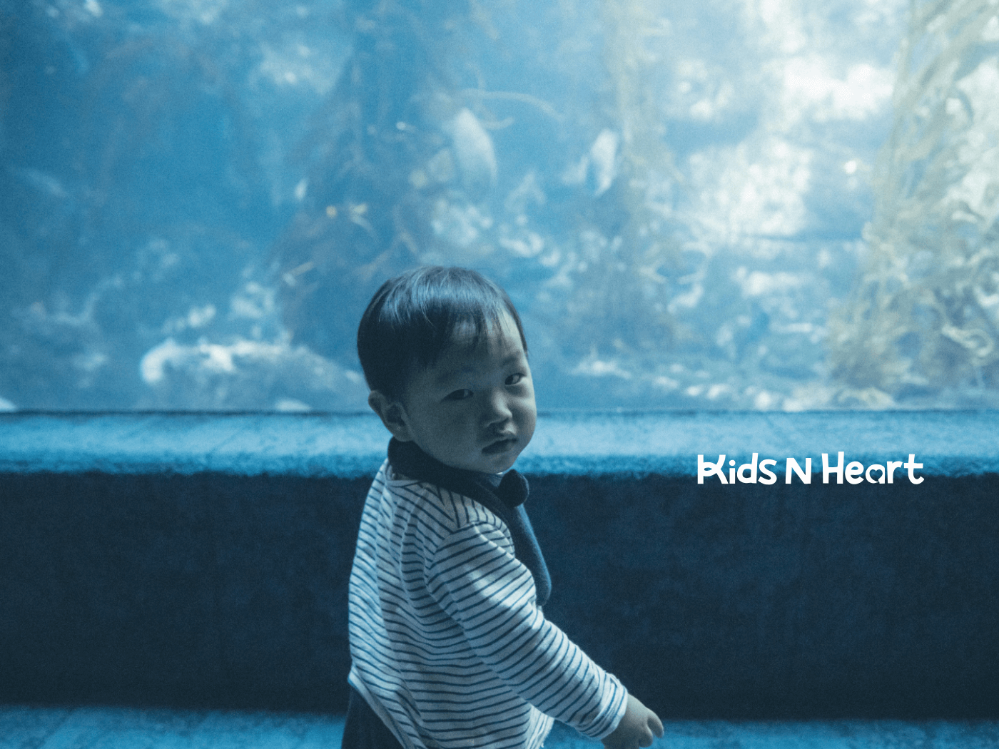 Young autistic child stands quietly by an aquarium tank, gazing at underwater life in a blue-lit setting.